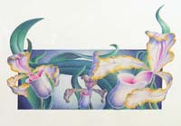 Orchids