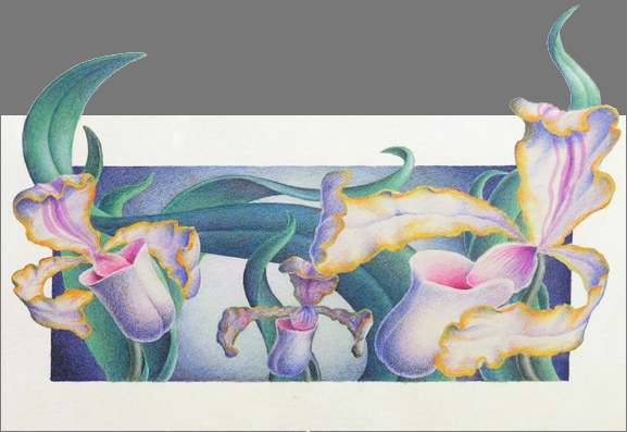 Orchids