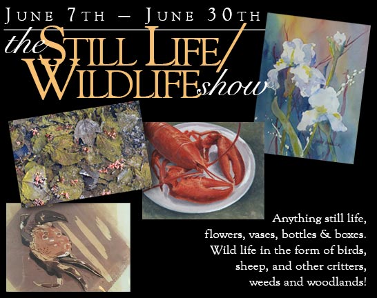 2019 Stillife/Wild Life Show graphic