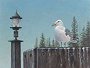 Will Kefauver original oil, "It's About the Buoy"