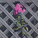Will Kefauver original oil, "Monhegan Phlox"